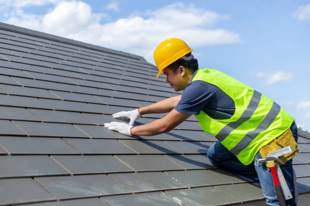 Best Roof Leak Repair  in Fox Lake, IL
