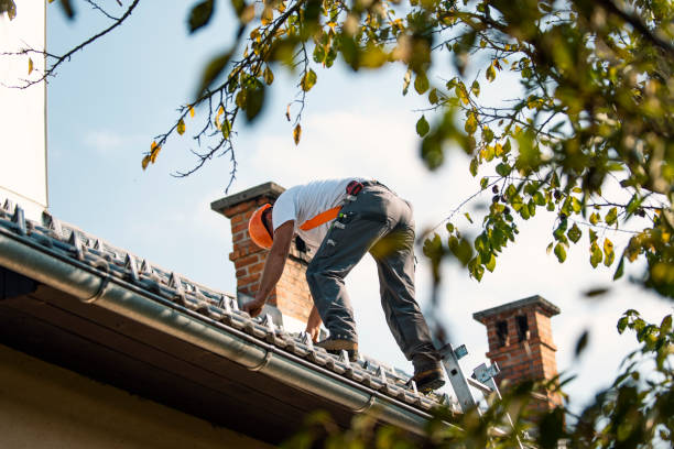 Best Roof Restoration Services  in Fox Lake, IL