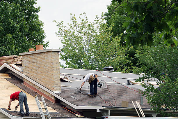 Best Roof Gutter Cleaning  in Fox Lake, IL