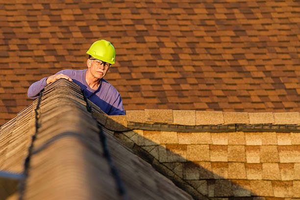 Best Flat Roof Repair Services  in Fox Lake, IL