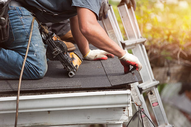 Best Storm Damage Roof Repair  in Fox Lake, IL